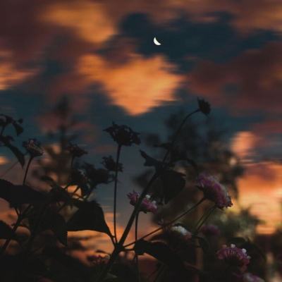 半岛·体育官网下载