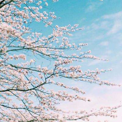 凯发K8旗舰厅App下载